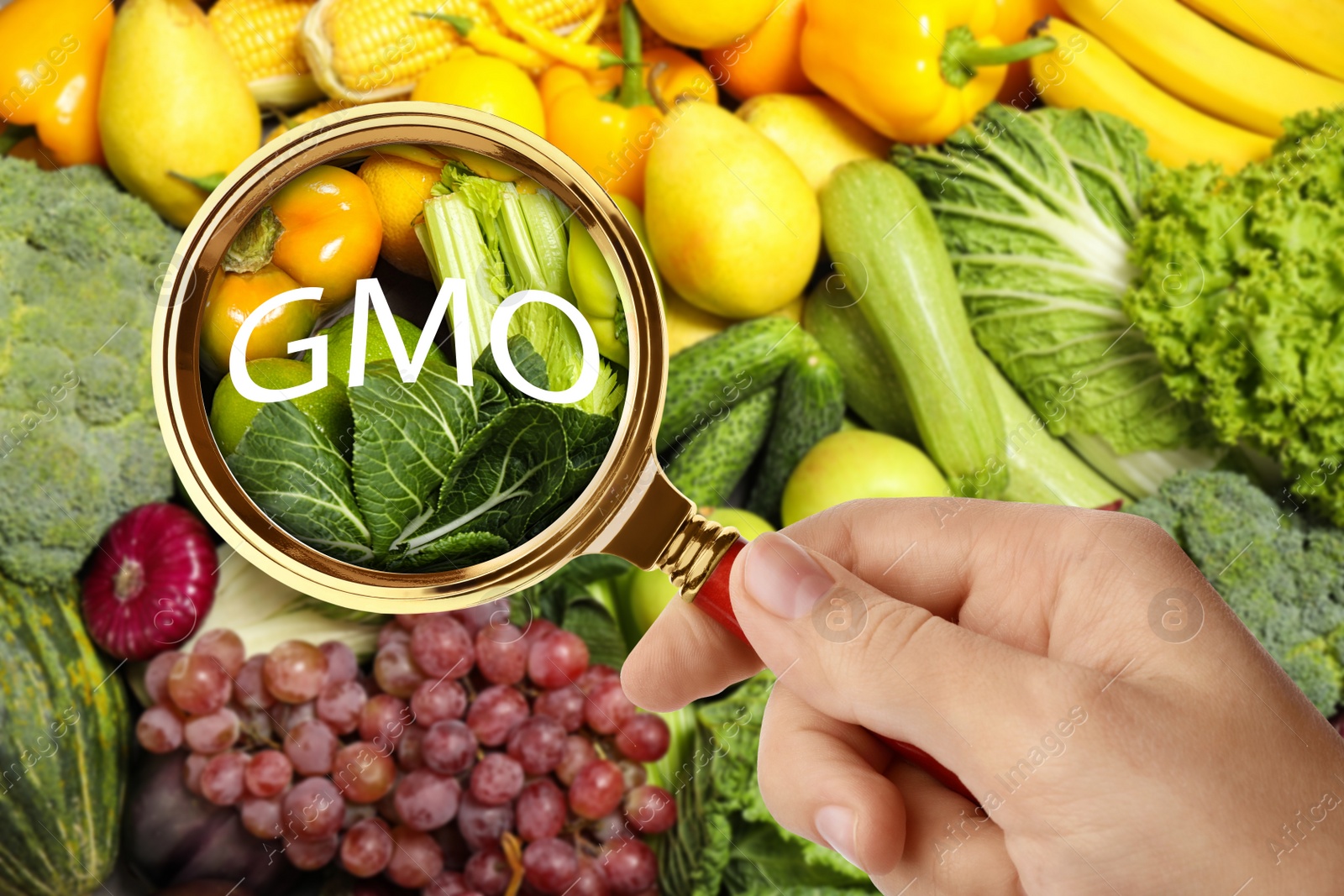 Image of Woman holding magnifying glass over fresh vegetables and fruits, closeup. GMO concept