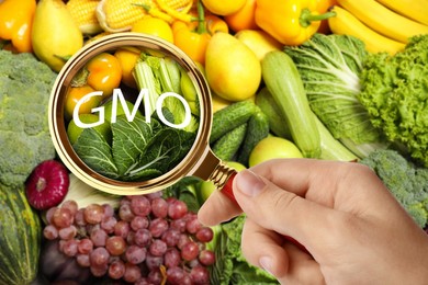 Image of Woman holding magnifying glass over fresh vegetables and fruits, closeup. GMO concept