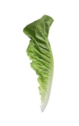 Photo of Fresh leaf of green romaine lettuce isolated on white