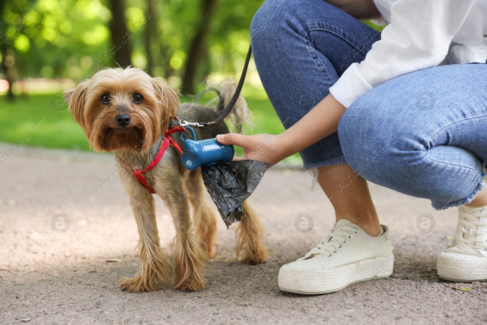 Photo of Woman with cute dog taking waste bag from holder in park, closeup