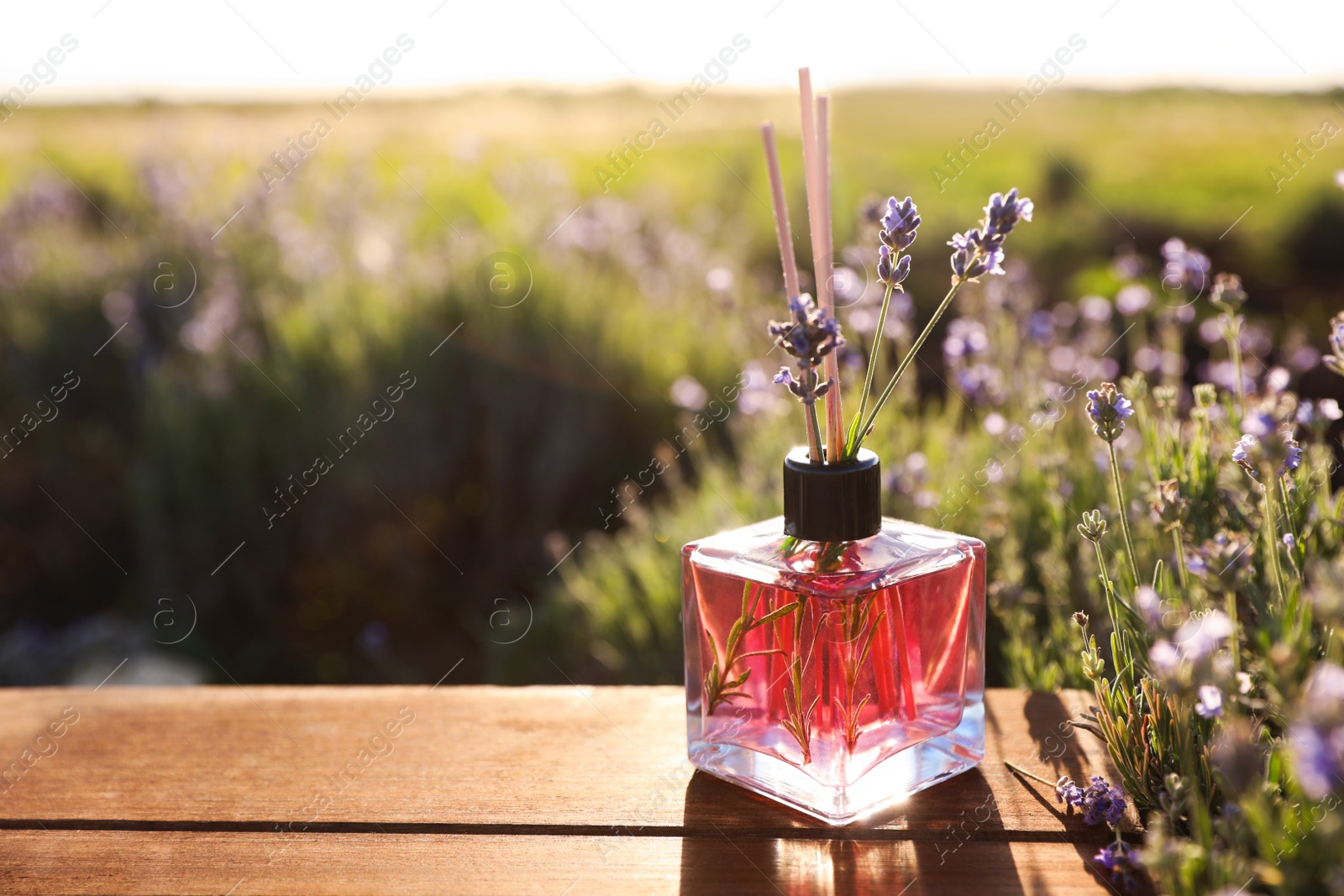 Photo of Bottle of air freshener on wooden table in lavender field. Space for text