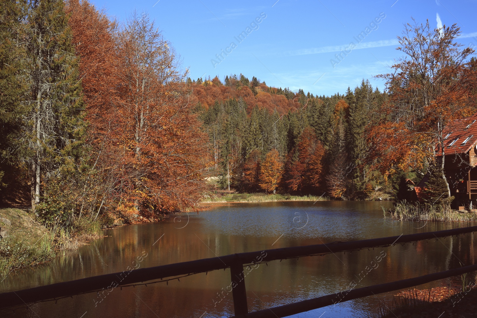 Photo of Beautiful landscape with forest near river on sunny day