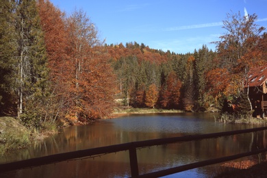Photo of Beautiful landscape with forest near river on sunny day