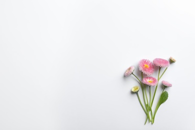 Photo of Flat lay composition with blooming daisies and space for text on white background. Spring flowers