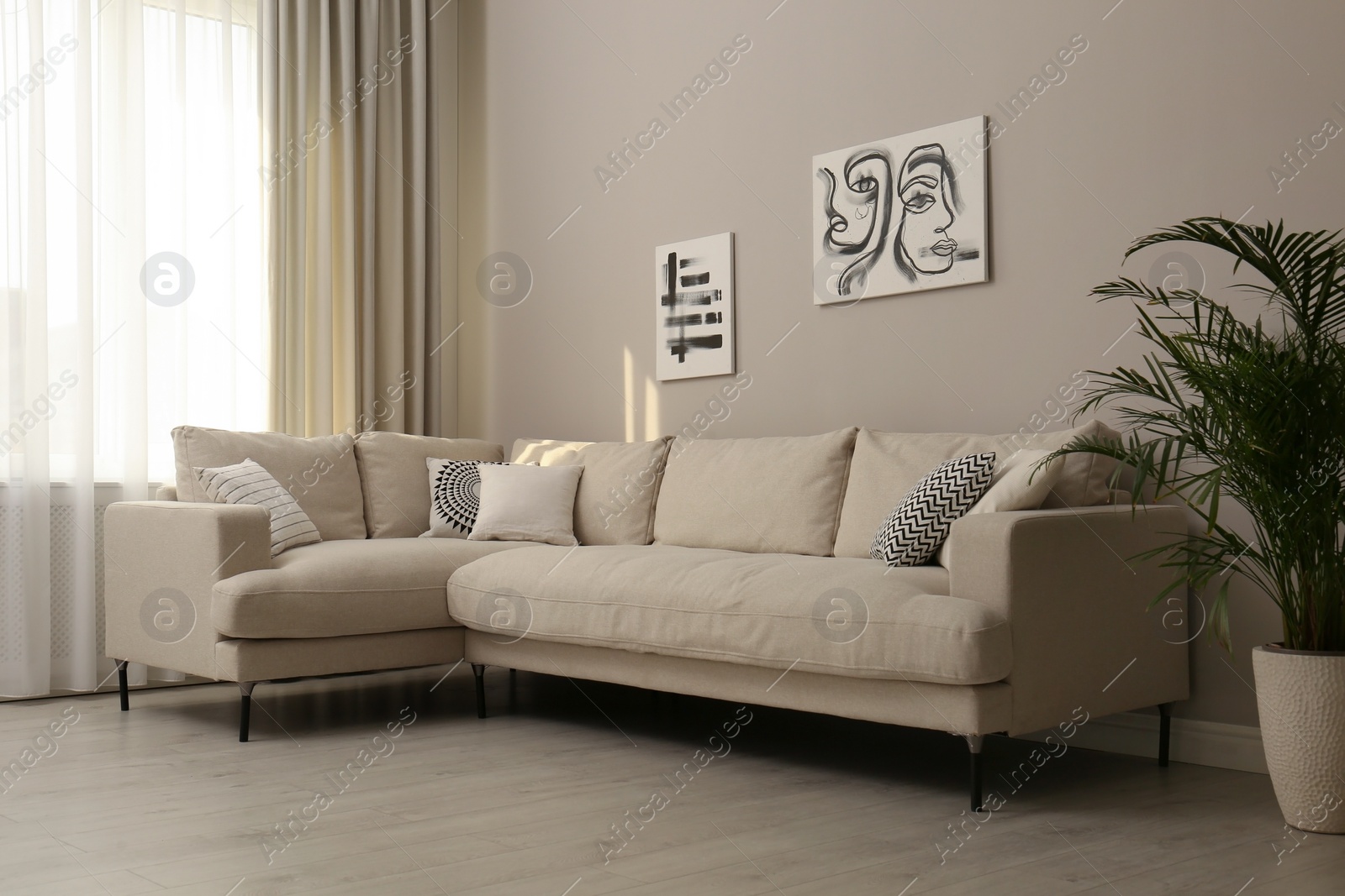 Photo of Stylish living room interior with modern comfortable sofa, plant and pictures