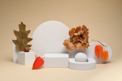 Autumn presentation for product. White geometric figures, dry leaves, acorn and physalises on beige background