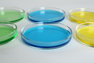 Petri dishes with colorful liquids on white background