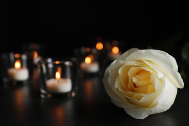 Photo of White rose and blurred burning candles on table in darkness, closeup with space for text. Funeral symbol