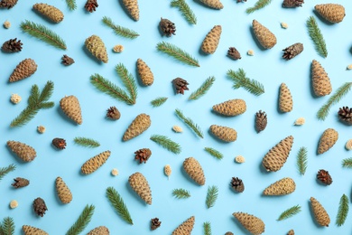 Photo of Flat lay composition with pinecones and branches on light blue background