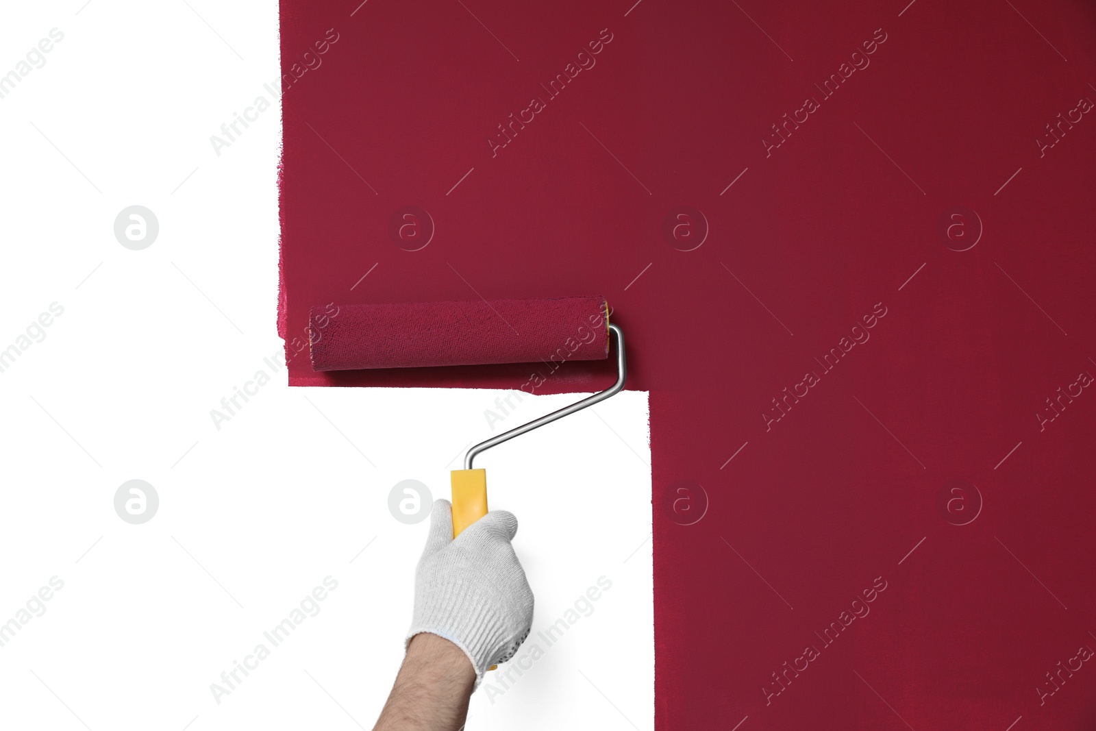 Photo of Man applying burgundy paint with roller brush on white wall, closeup