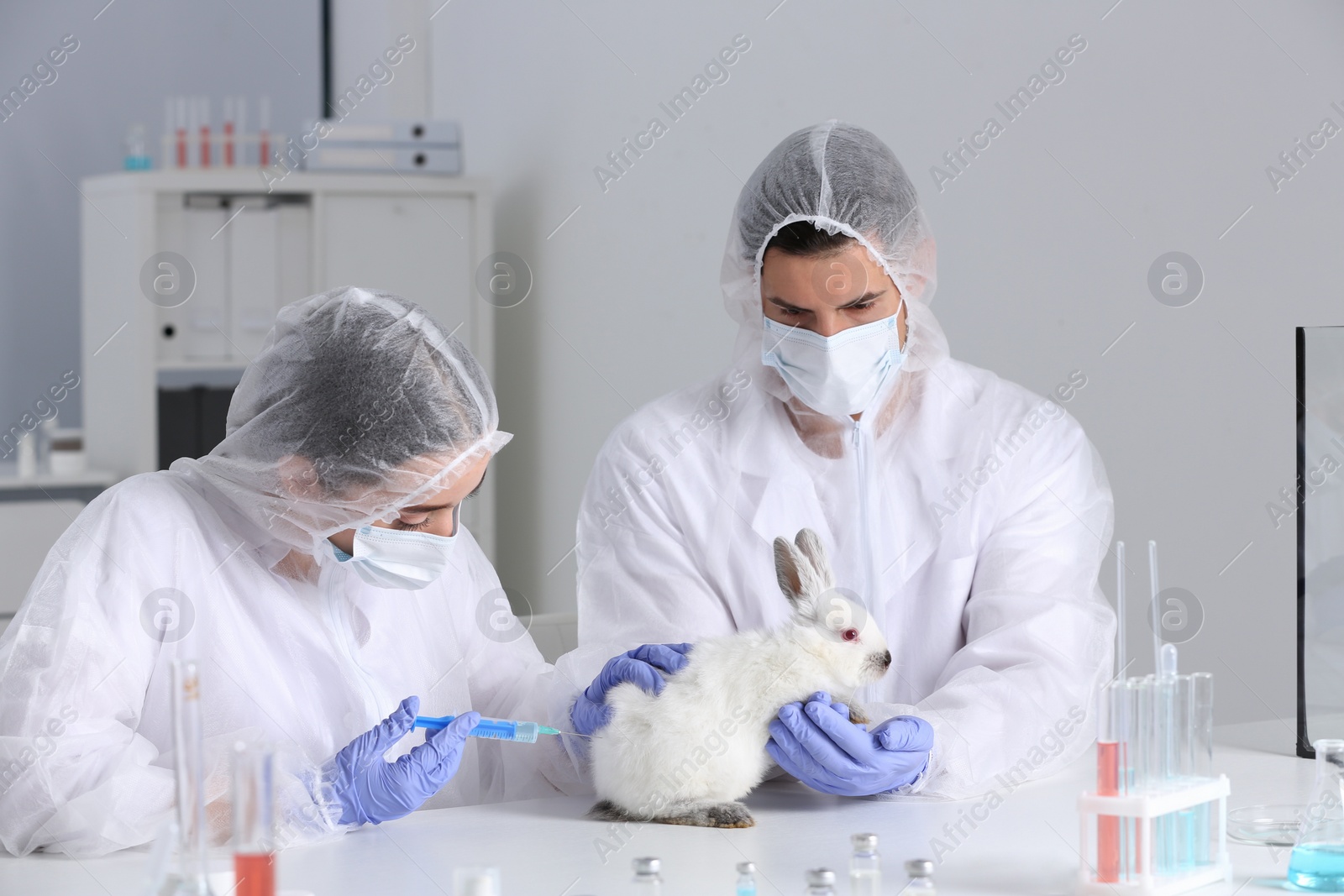 Photo of Scientists working with rabbit in chemical laboratory. Animal testing