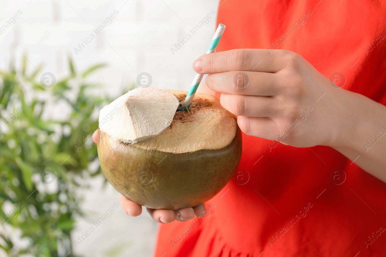 Photo of Young woman with fresh coconut cocktail on blurred background, closeup