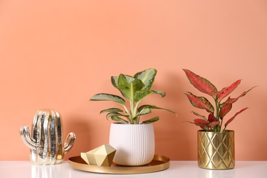 Beautiful houseplants on white table near orange coral wall