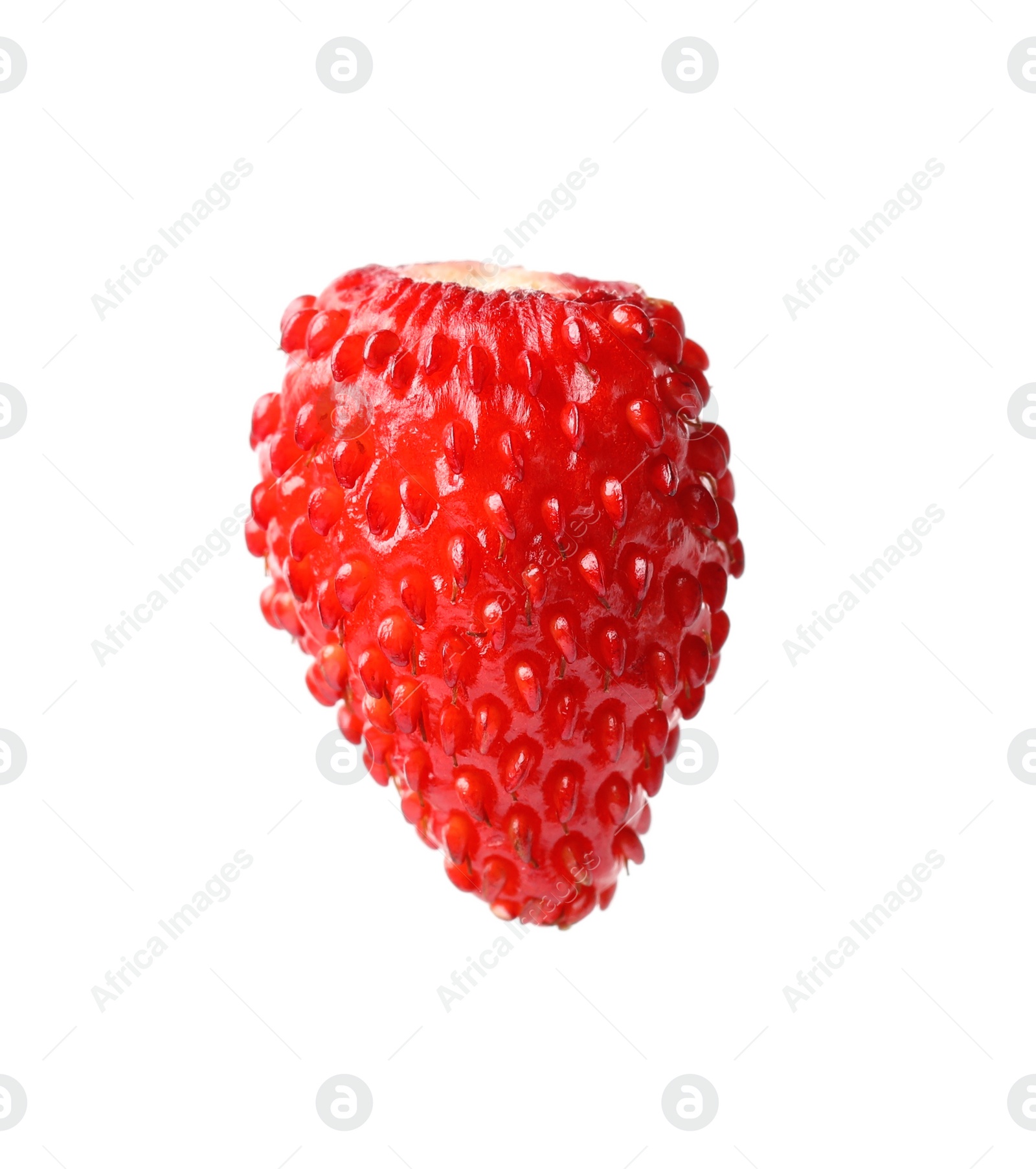 Photo of One ripe wild strawberry isolated on white