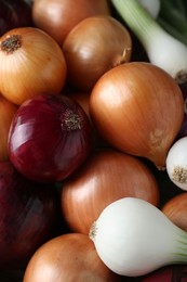 Photo of Different kinds of onions as background, closeup