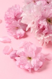 Photo of Beautiful sakura tree blossoms on pink background, closeup