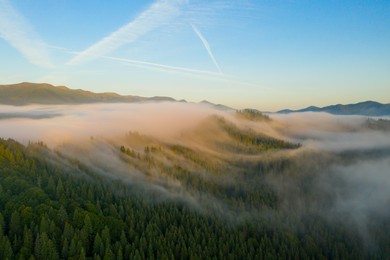 Image of Aerial view of beautiful mountains and conifer trees on foggy morning