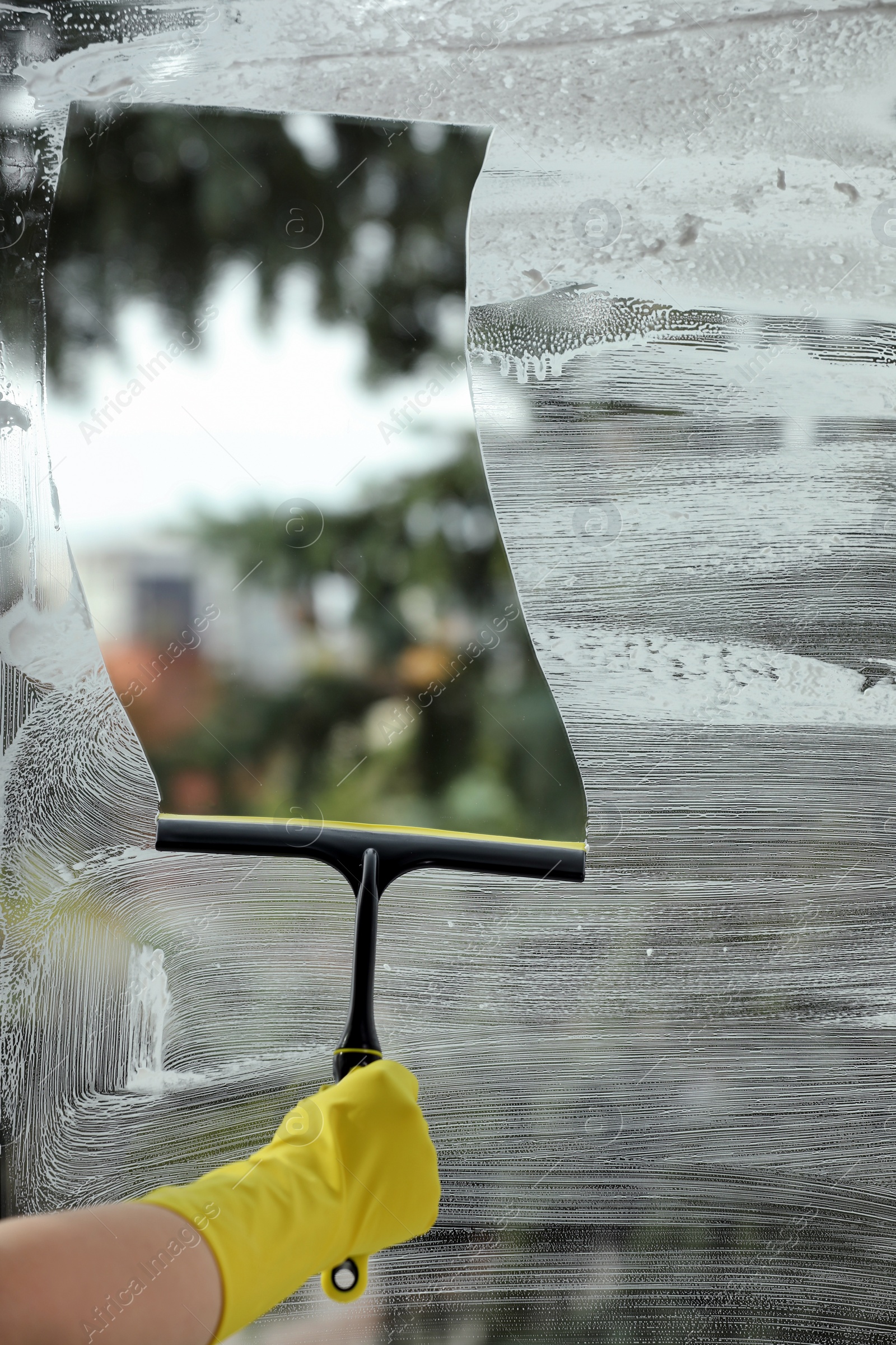 Photo of Woman cleaning glass with squeegee indoors, closeup