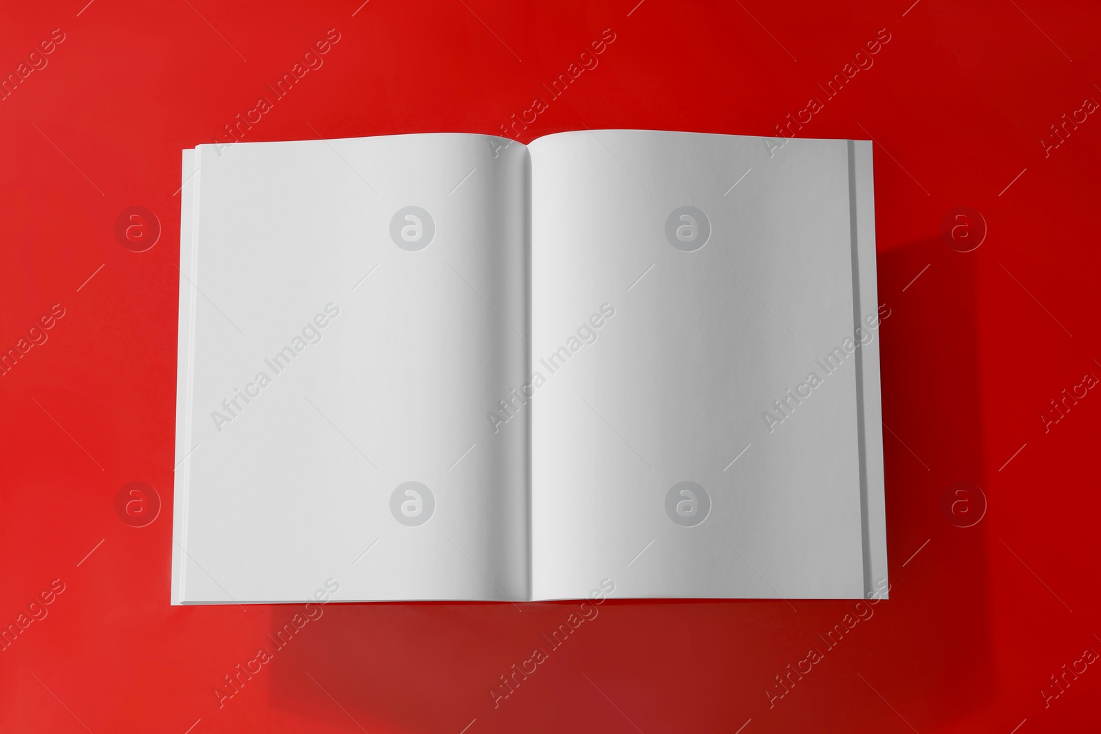 Photo of Empty book pages on red background, top view. Mockup for design