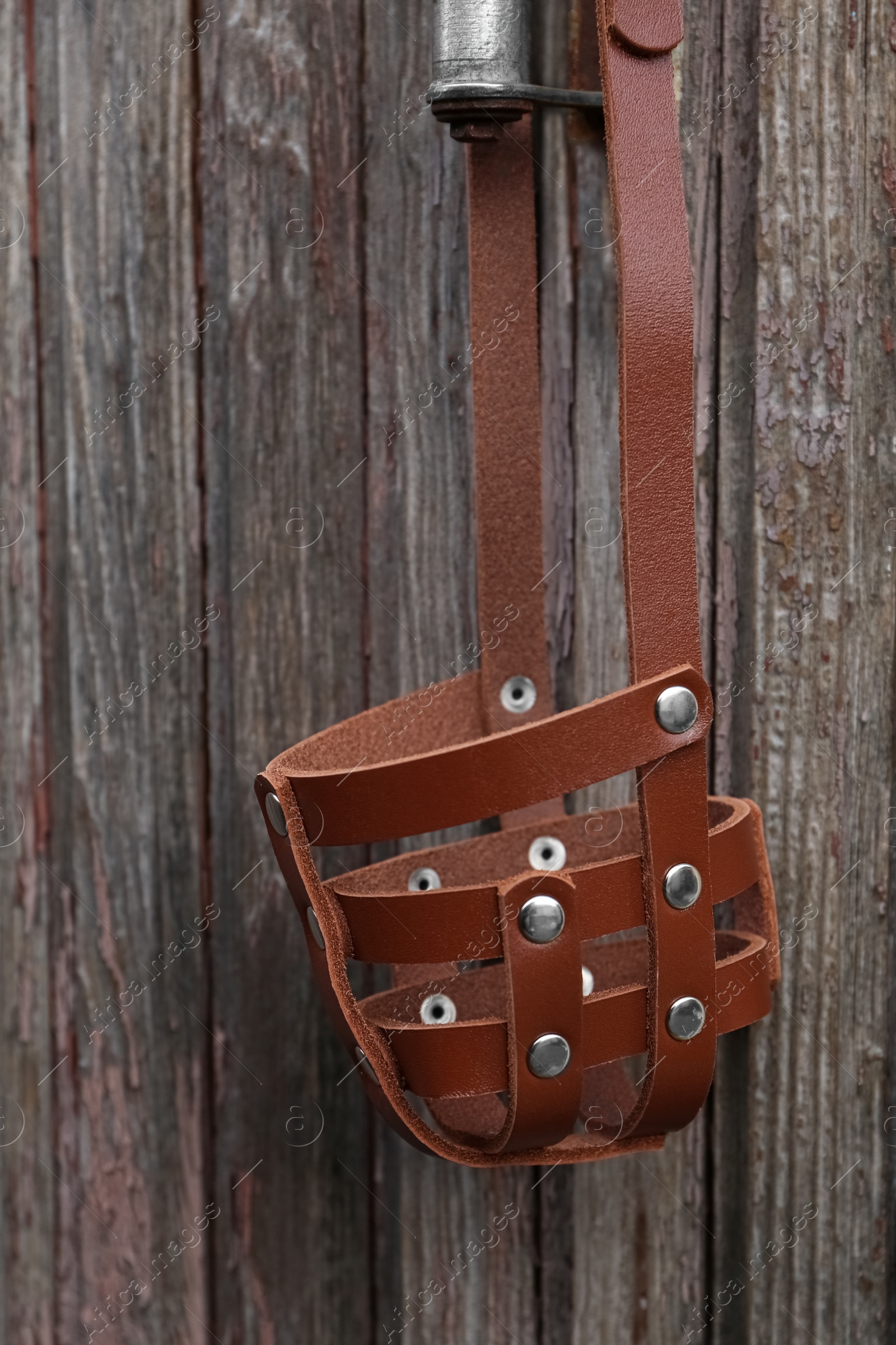 Photo of Brown dog muzzle hanging near wooden fence