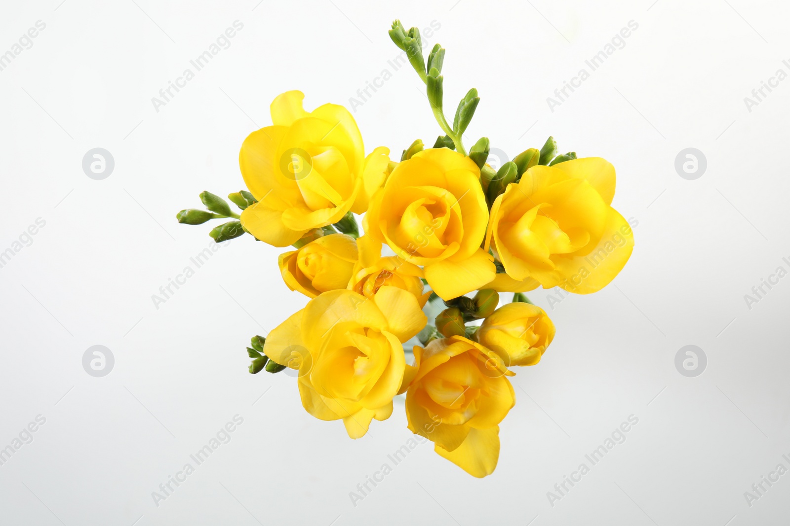 Photo of Bouquet of fresh freesia flowers isolated on white, top view