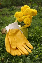 Watering can with flowers and yellow gardening gloves on grass outdoors