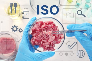 ISO 22000 - Food safety management. Scientist holding Petri dish with forcemeat over table, top view