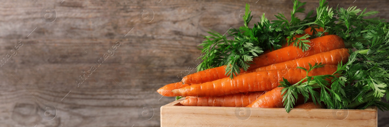 Image of Crate of fresh carrots on wooden background, closeup with space for text. Banner design 