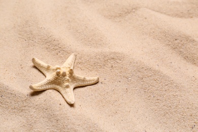 Photo of Beautiful starfish on beach sand, space for text. Summer vacation