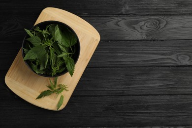 Photo of Fresh stinging nettle leaves on black wooden table, top view. Space for text