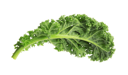 Photo of Fresh green kale leaf isolated on white