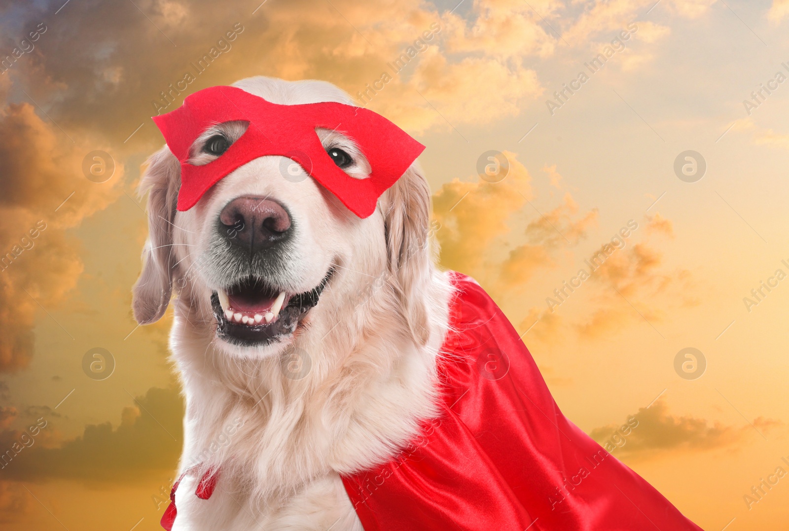 Image of Adorable dog in red superhero cape and mask against cloudy sky