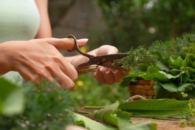 Photo of Woman cutting fresh green dill with scissors outdoors, closeup