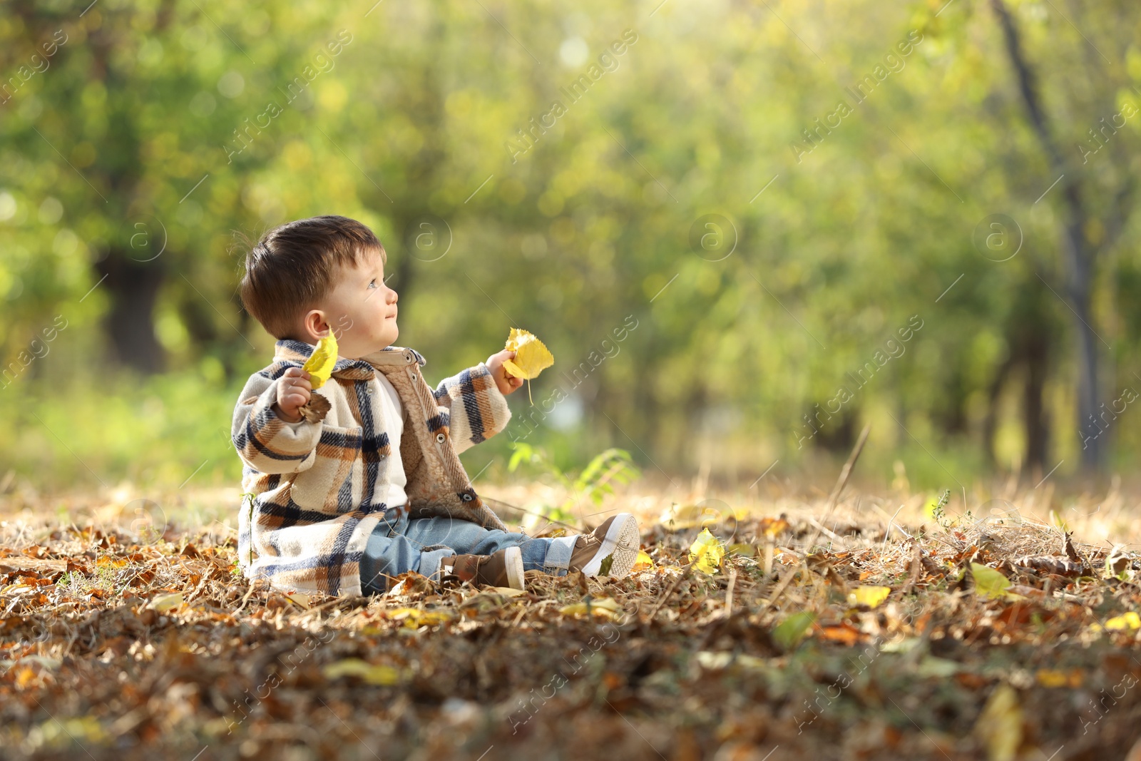 Photo of Cute little child on ground with dry leaves in autumn park, space for text