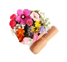 Photo of Wooden mortar with different flowers and pestle on white background, top view