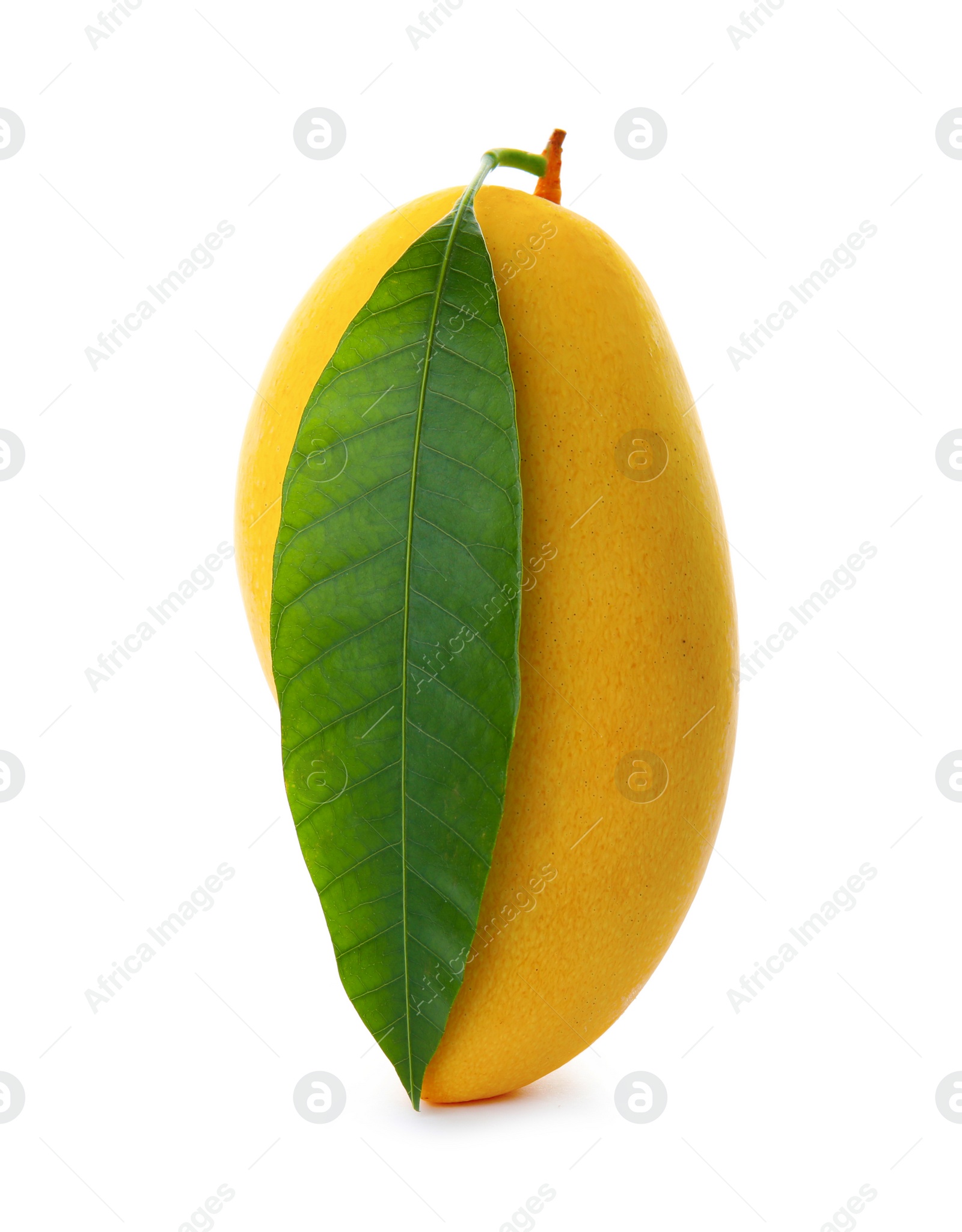 Photo of Fresh ripe mango with green leaf isolated on white