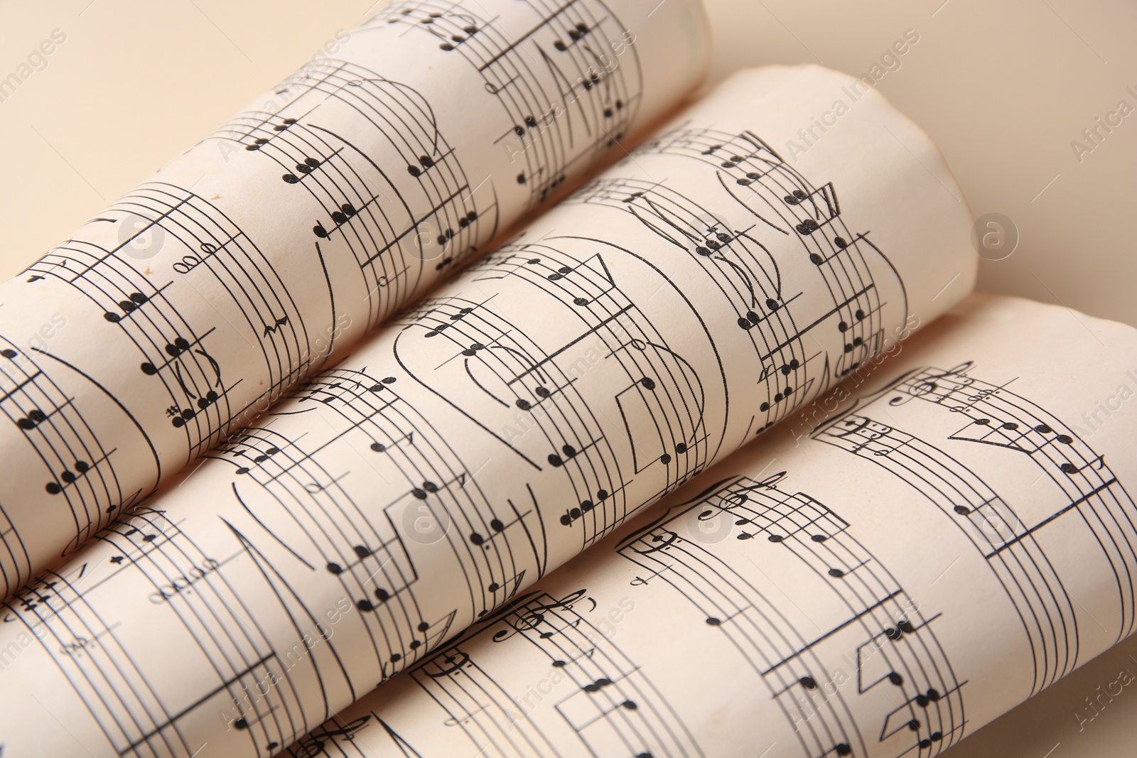 Photo of Rolled sheets with music notes on light background, closeup