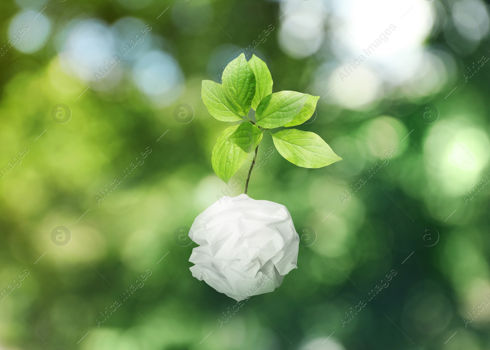 Image of Crumpled sheet of paper on twig with green leaves on blurred background, bokeh effect. Recycling concept