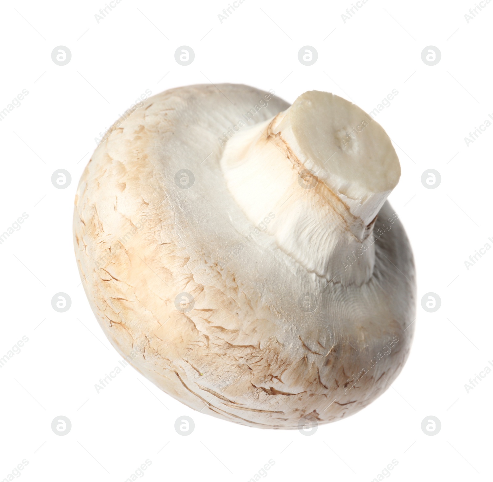 Photo of Fresh champignon mushroom isolated on white. Healthy food