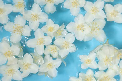 Photo of Beautiful jasmine flowers in water on light blue background, top view