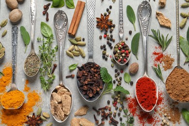 Photo of Different herbs and spices with spoons on grey table, flat lay