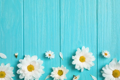 Photo of Beautiful chamomile flowers on light blue wooden background, flat lay. Space for text