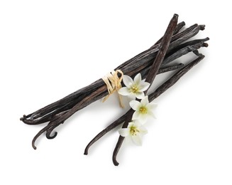 Vanilla pods and flowers isolated on white. top view