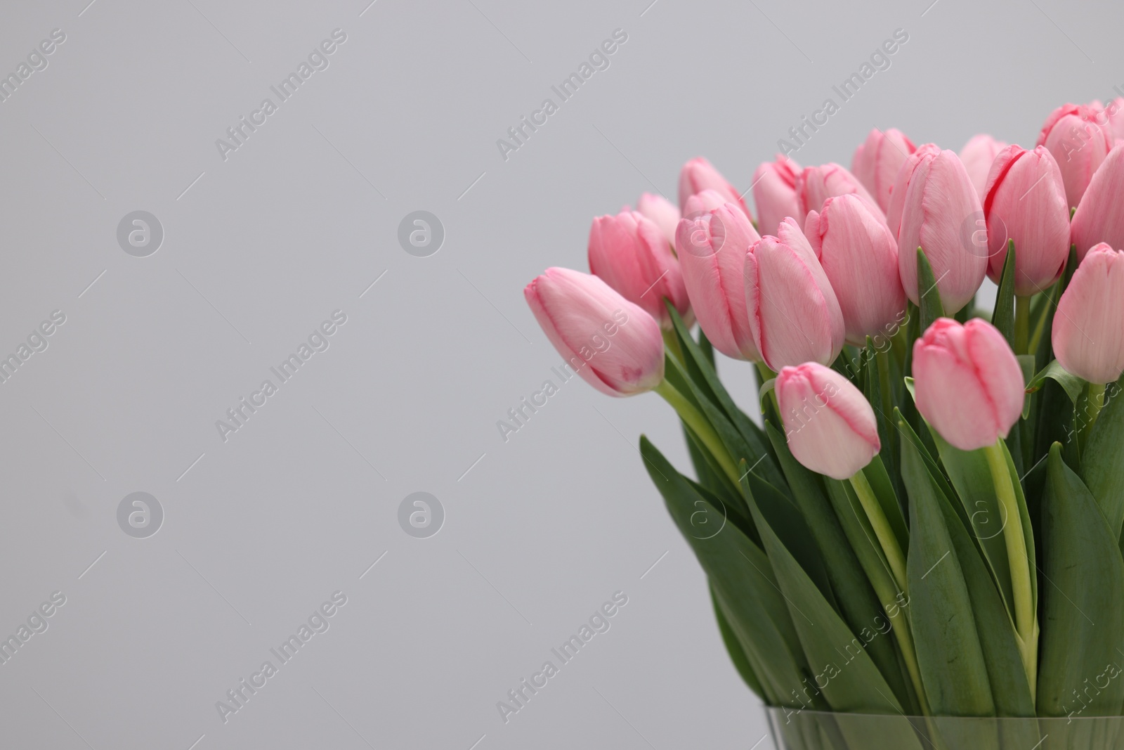 Photo of Bouquet of beautiful pink tulips on grey background, closeup. Space for text