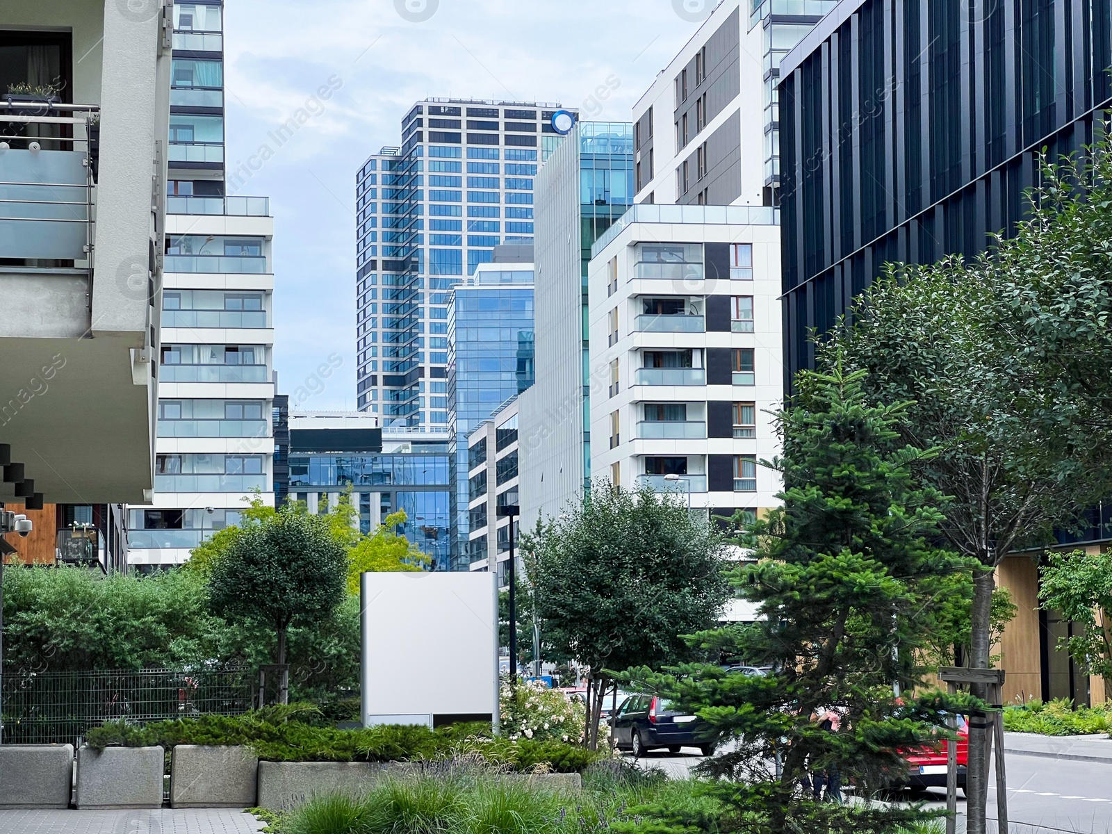 Photo of City street with beautiful buildings and green trees