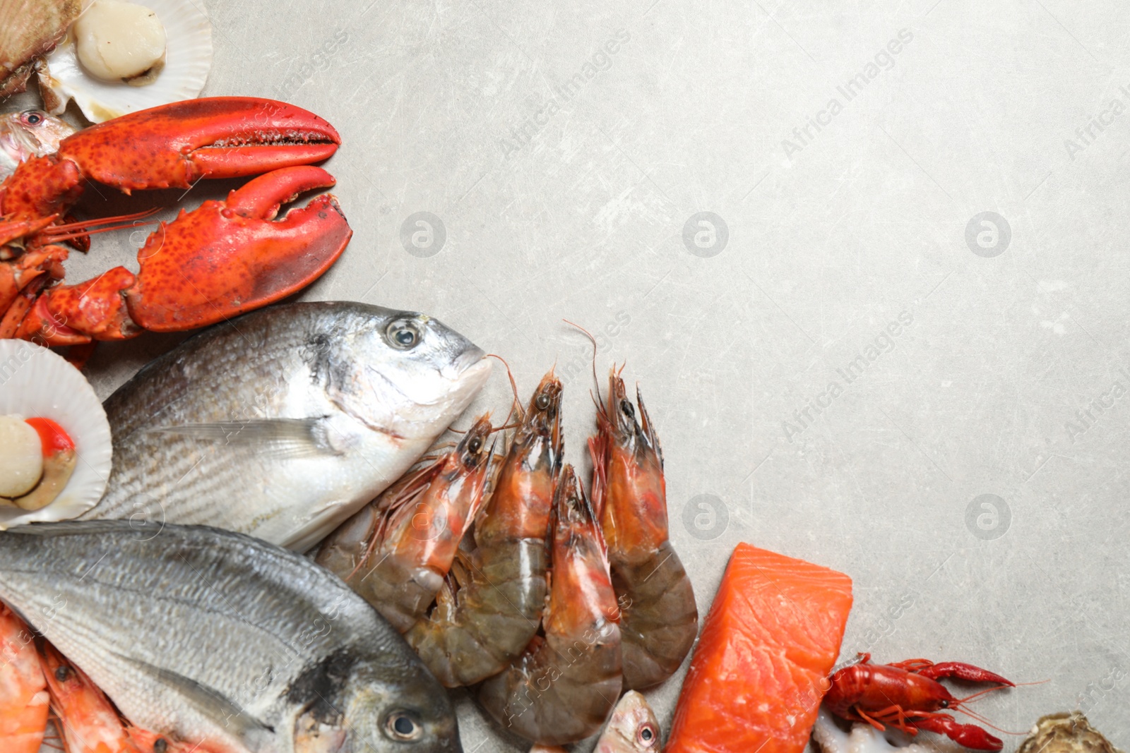 Photo of Fresh fish and seafood on marble table, flat lay. Space for text