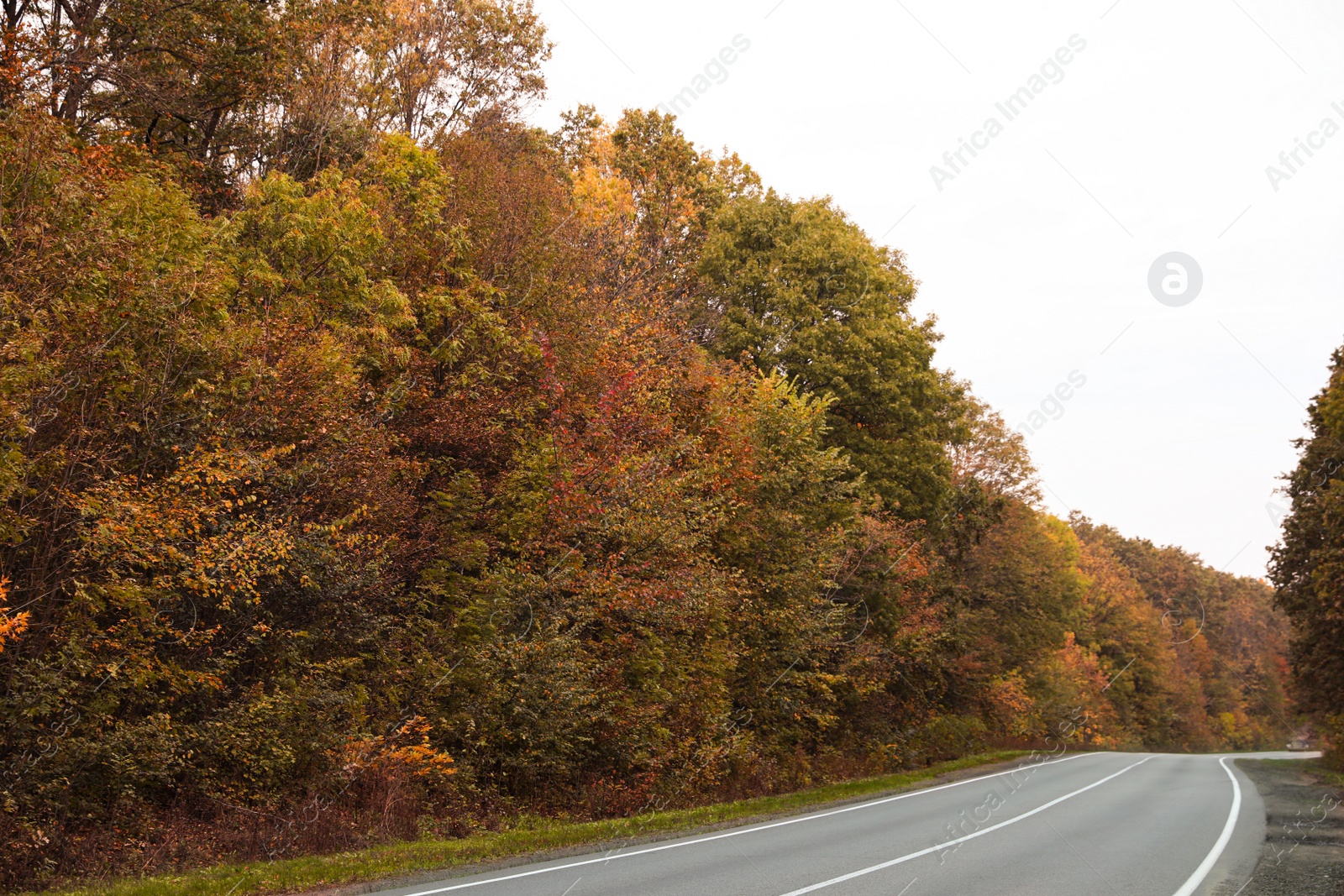 Photo of Beautiful view of empty asphalt highway and autumn trees