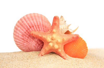 Beautiful sea star and seashell in sand isolated on white