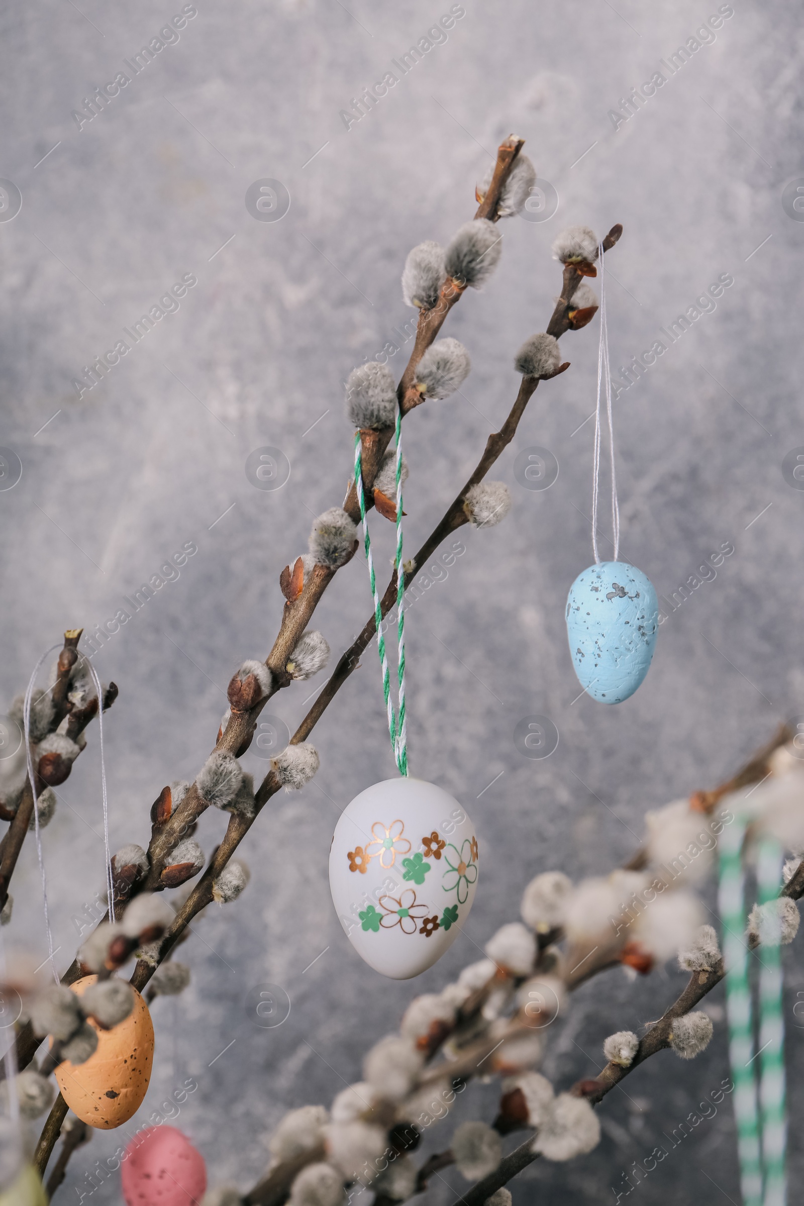 Photo of Beautiful willow branches with painted eggs on light grey background, closeup. Easter decor