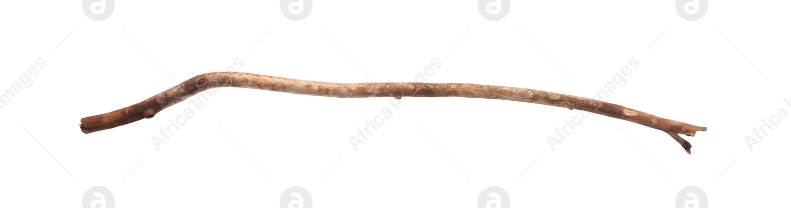 Photo of One old wooden stick isolated on white